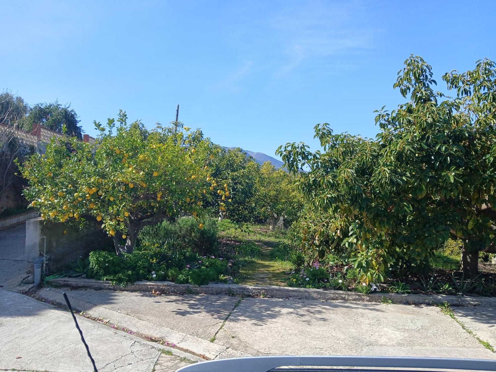 Finca Vista El Montanes - Malaga — Photos 2